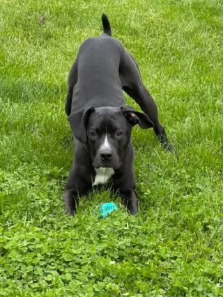 Gunther