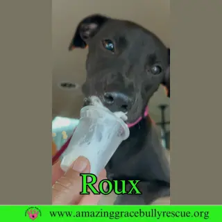 Roux 2