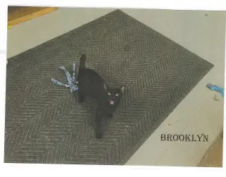 Brooklyn