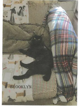 Brooklyn