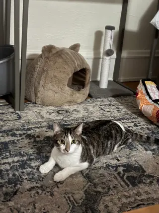 Oliver