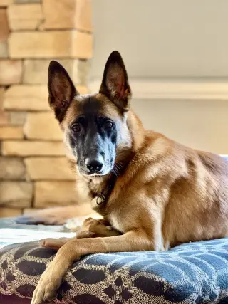 Fred - NH
