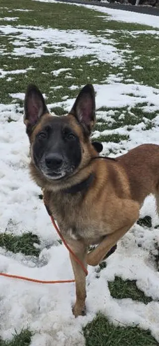 Fred - NH
