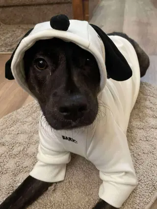 Remi