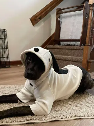 Remi