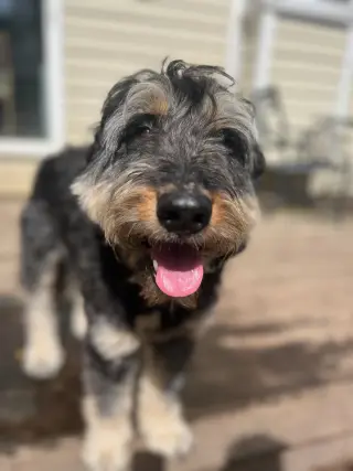 Odin