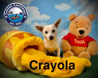 Crayola