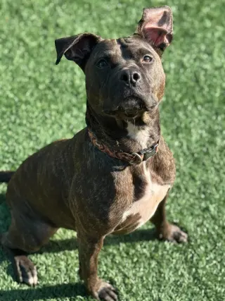 Marnie