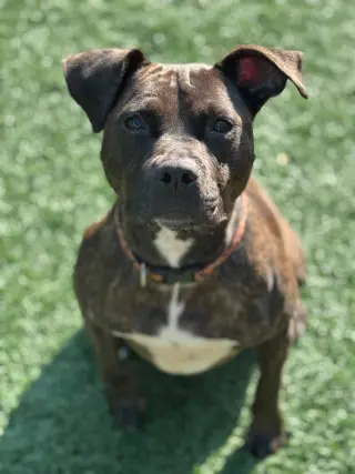 Marnie
