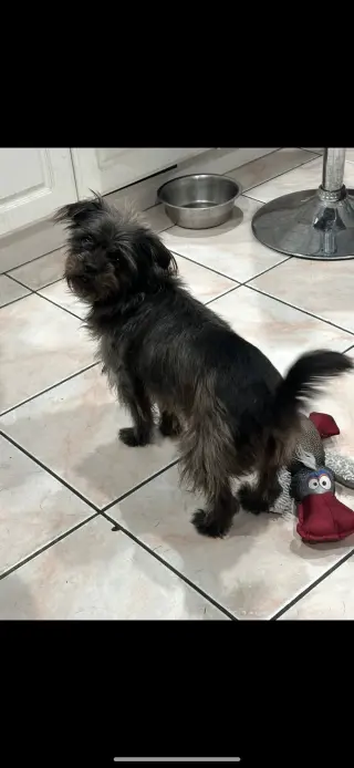 Chloe