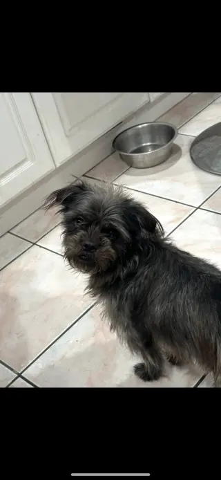 Chloe