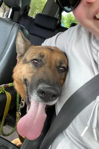 Gracie