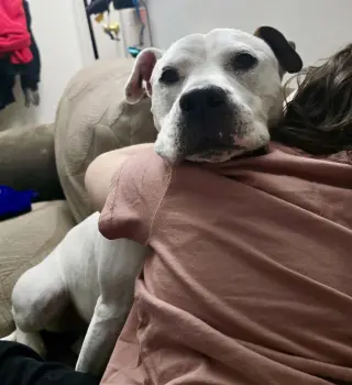 Jasmine the Jolly