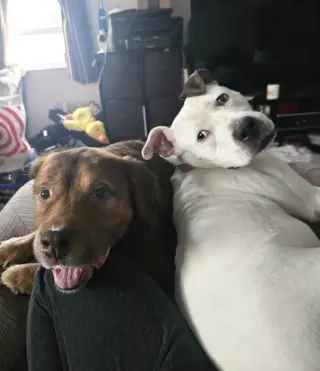 Jasmine the Jolly