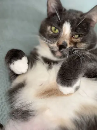 Helen