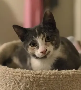 Eve