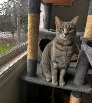 Bubbles (& Skibidi)