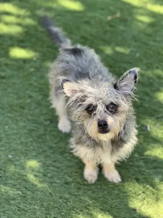 Martha