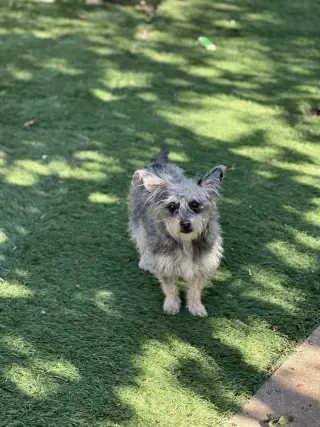 Martha
