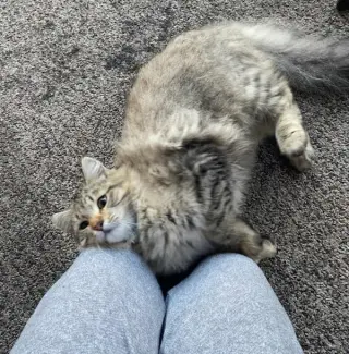 BABY