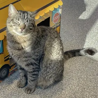 Tater Tot