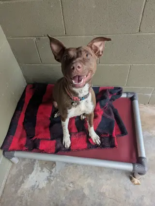 Ruby