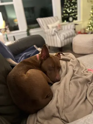 Ruby