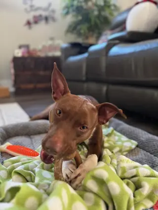 Ruby