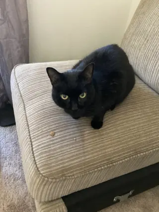 Max