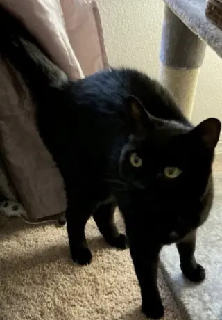 Max