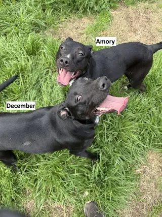 December