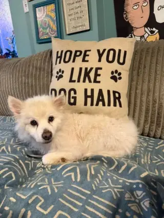 Auggie of FL (aka Alfredo)