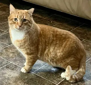 Nick