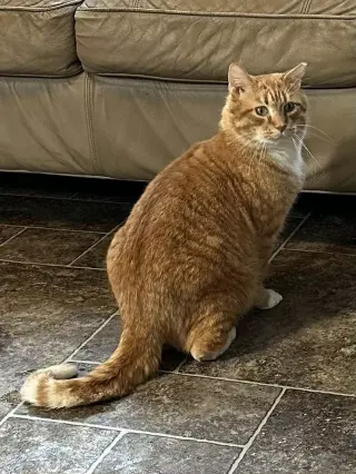 Nick