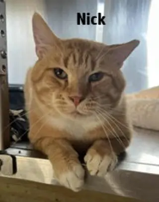 Nick