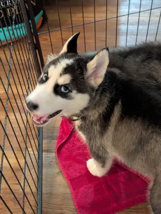 Winnie