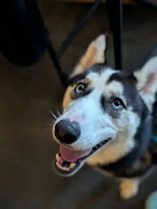 Winnie