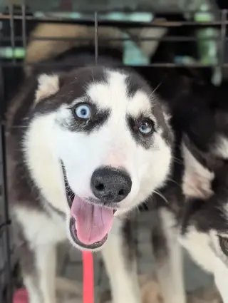 Winnie