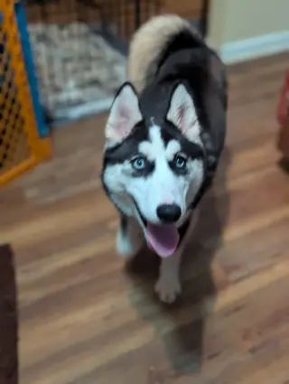 Winnie