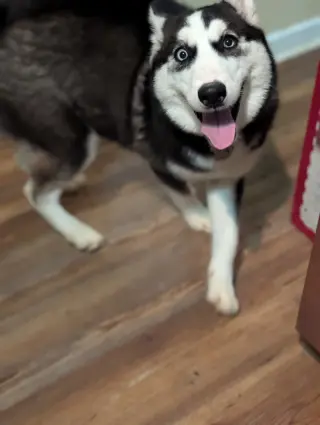 Winnie