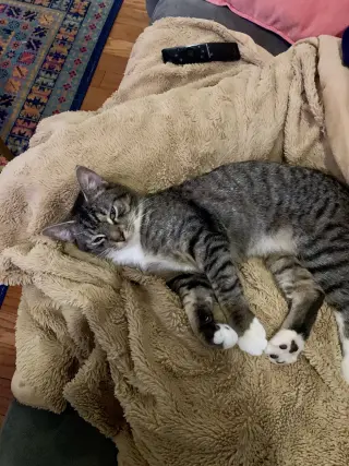 Roger