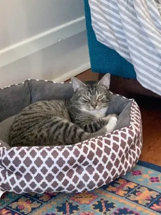 Roger