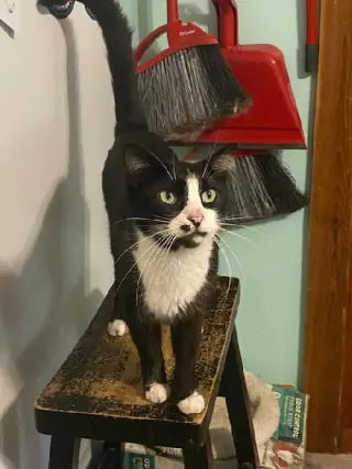 Clyde