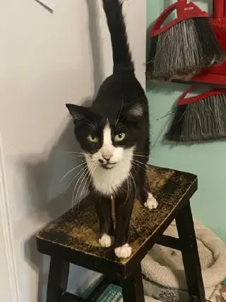 Clyde
