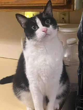 Bonnie