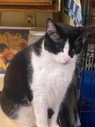 Bonnie