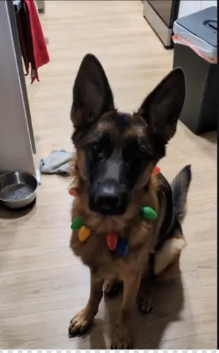 Athena