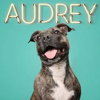 Audrey