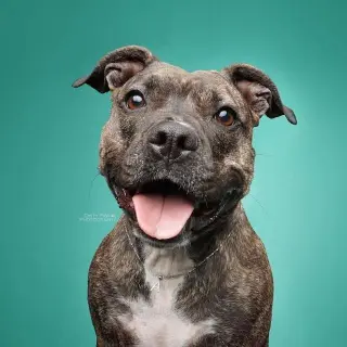 Audrey