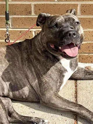 Audrey